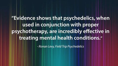 Exploring the Therapeutic Potential of Psychedelics