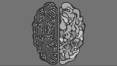 Computer Simulation Helps Study Brain Cancer Growth