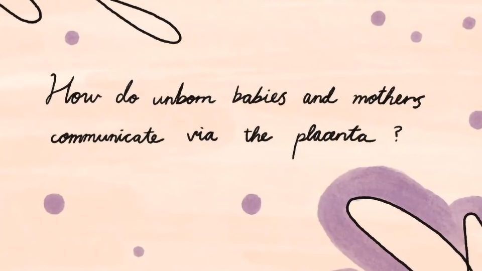 How Do Unborn Babies and Mothers Communicate via the Placenta? content piece image