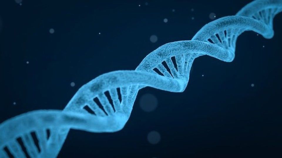 How Does Whole Genome Sequencing Identify Mycobacteria? content piece image