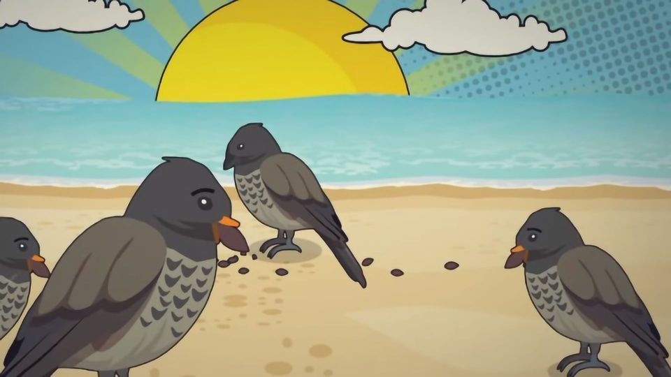 Charles Darwin's Theory of Evolution Explained content piece image