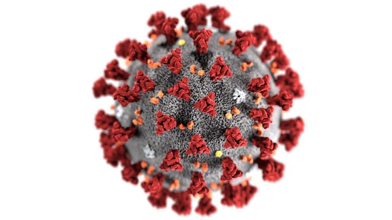 Arbor Biosciences Offers Novel 2019 Coronavirus Panel for Free to Research Community
