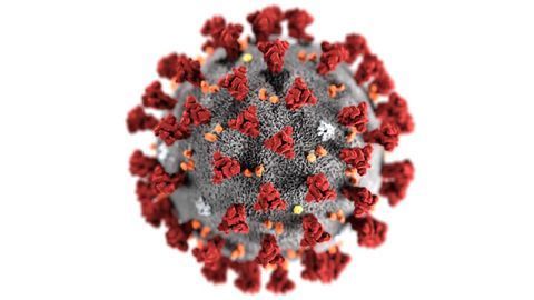 Arbor Biosciences Offers Novel 2019 Coronavirus Panel for Free to Research Community