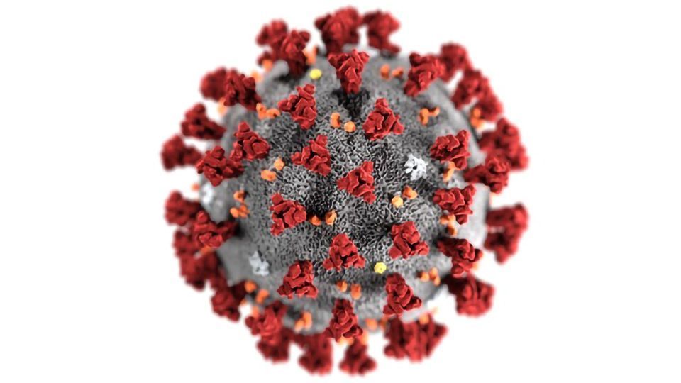 阿伯生物科学提供了新的2019年冠状病毒研究小组免费社区内容块的形象