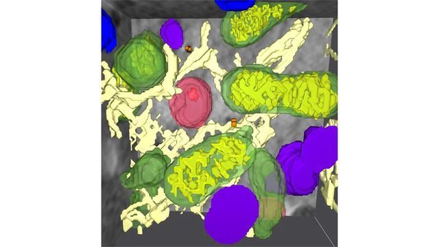 Nanoparticles Can Change Cells content piece image 