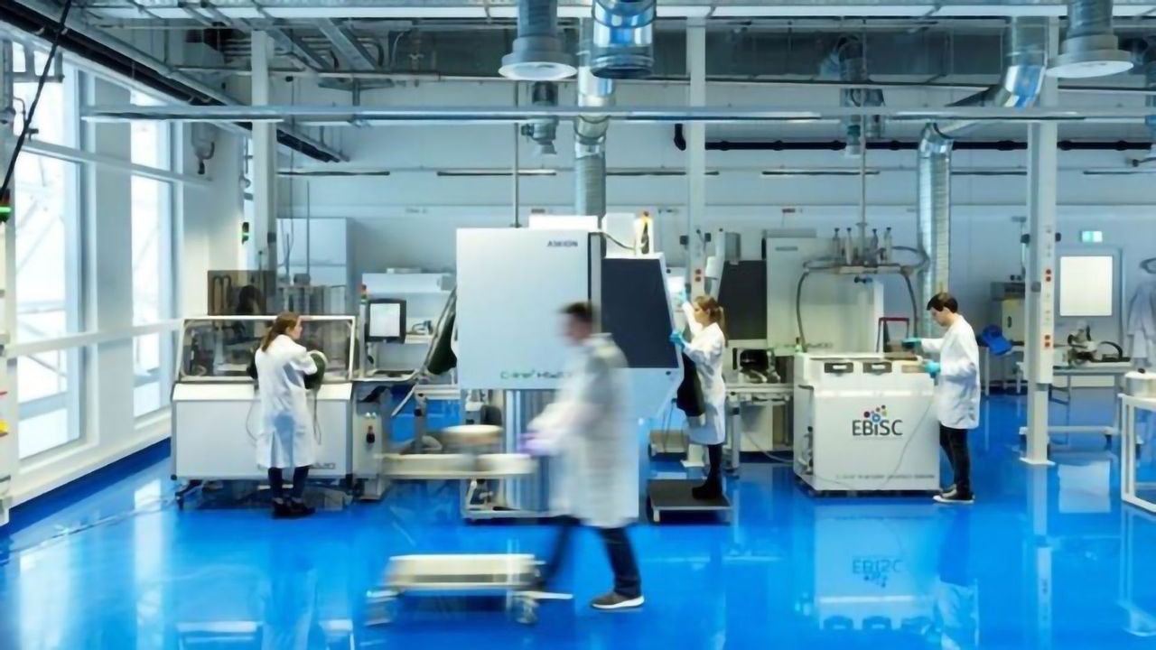 The European Bank of Induced Pluripotent Stem Cells: Five Years of Progress
