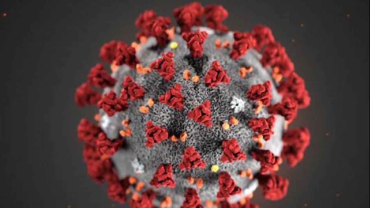 How Bad Is the Coronavirus Outbreak Becoming?