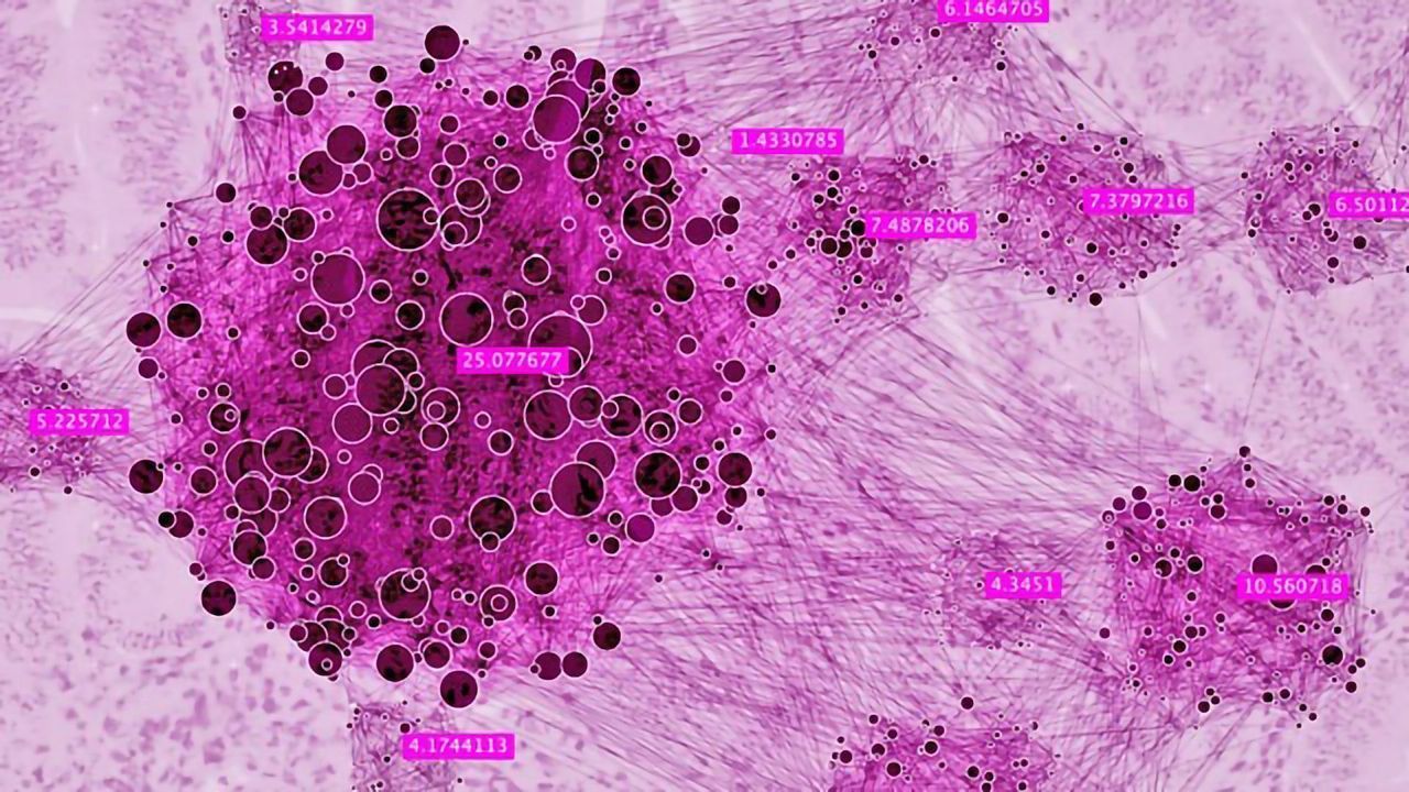 Molecular Roadmap Fuels Fight Against Endometrial Cancer