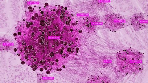 Molecular Roadmap Fuels Fight Against Endometrial Cancer