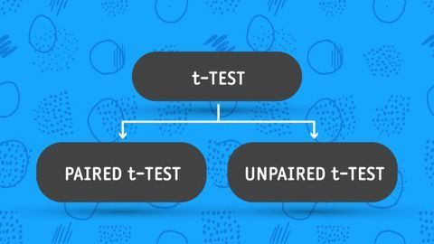 Paired vs Unpaired T-Test: Differences, Assumptions and Hypotheses