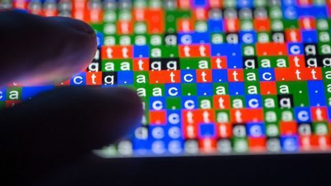 Preclinical Study Links Human Gene Variant to THC Reward in Adolescent Females, But Not Males
