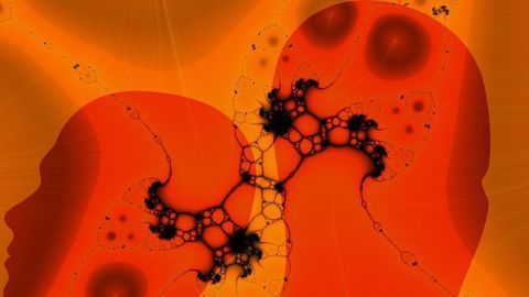 New Study Shows a Clear Link Between Blood Supply to the Hippocampus and Cognitive Performance
