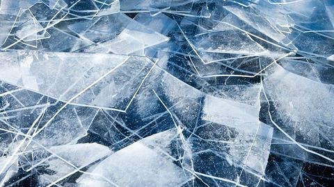 Saving Cells From Ice Damage