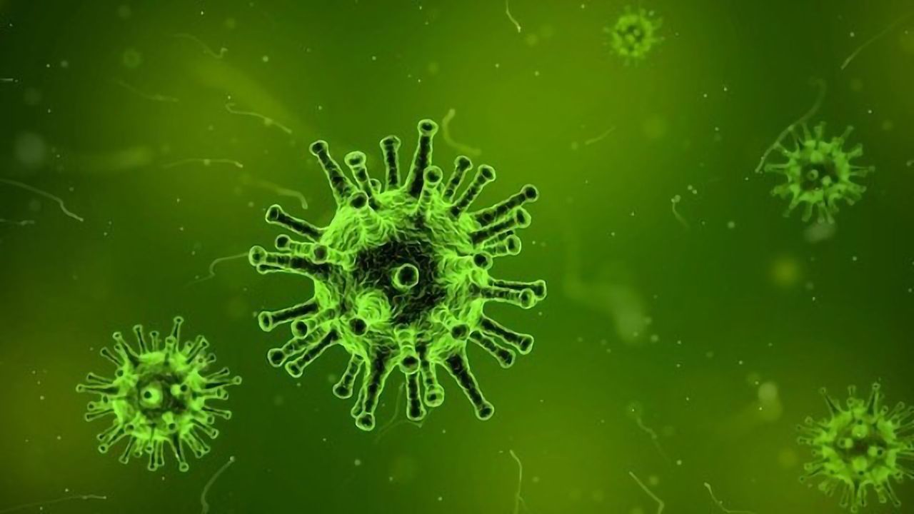 Predicting Pandemic Potential of Influenza
