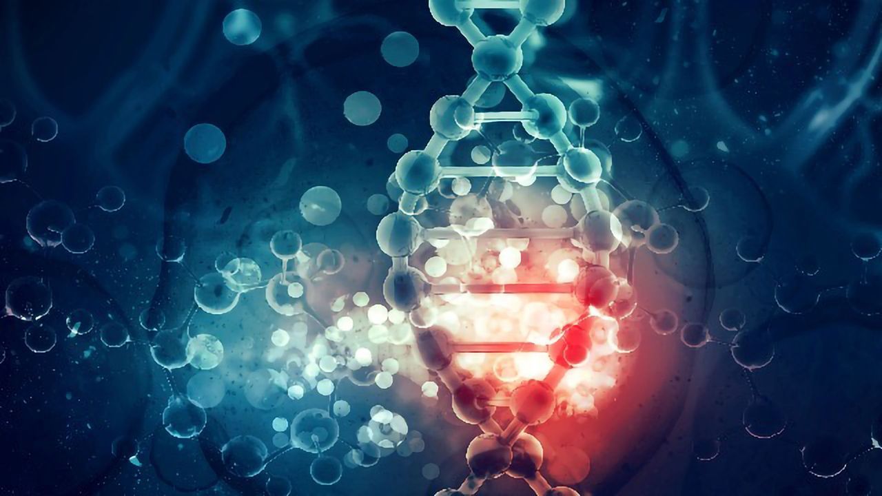 Fruit Fly Gene Study Shows the Complexity of Neurodevelopmental Disorders