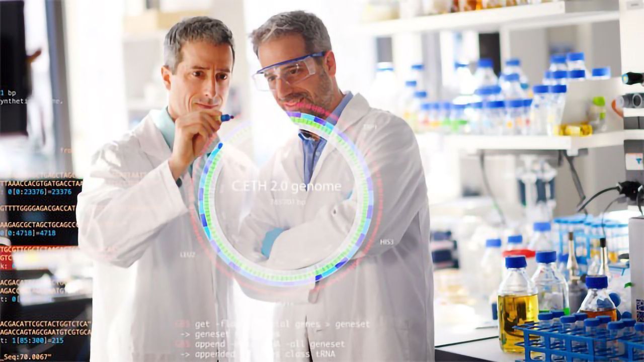 The World's First Fully Computer-generated Genome