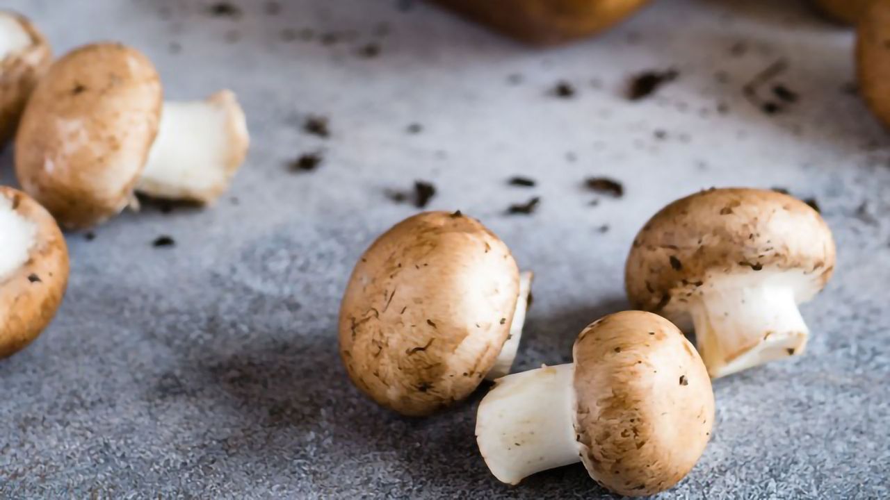 Mushroom Antioxidant May Relieve Features of "Pregnancy Hypertension"