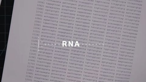 Why Labs Are Printing the Coronavirus Genome