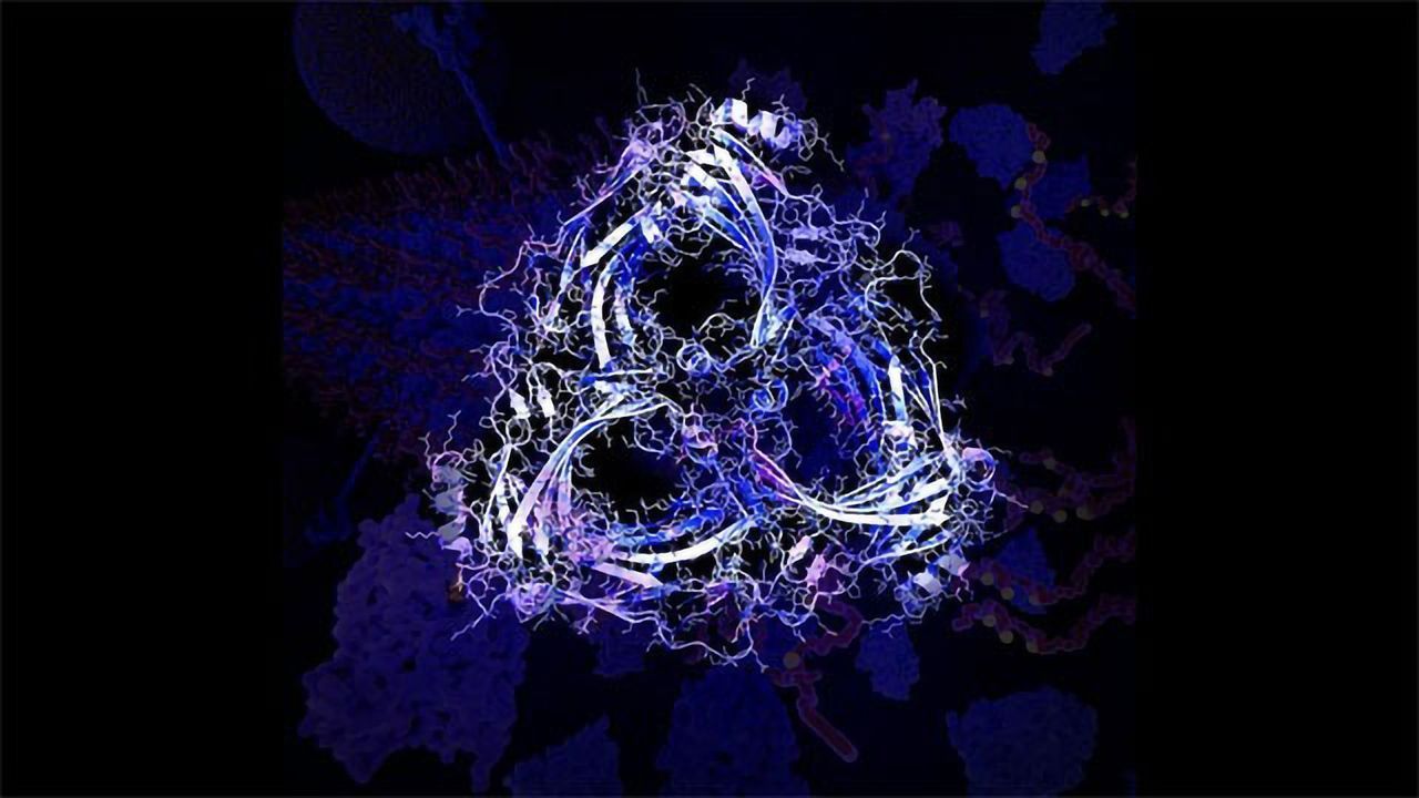Dementia Protein Stops Tau Being Cleared From the Brain
