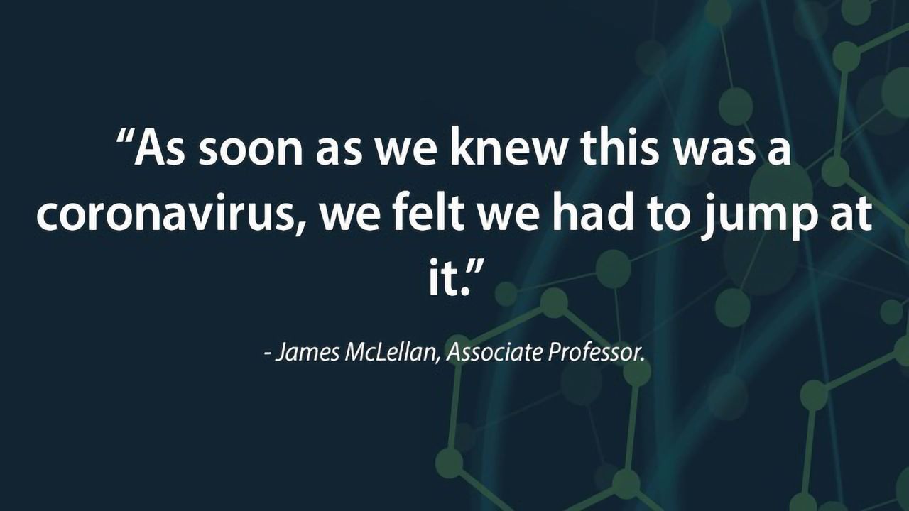 New Coronavirus Insights Mark Important Step Towards Vaccine