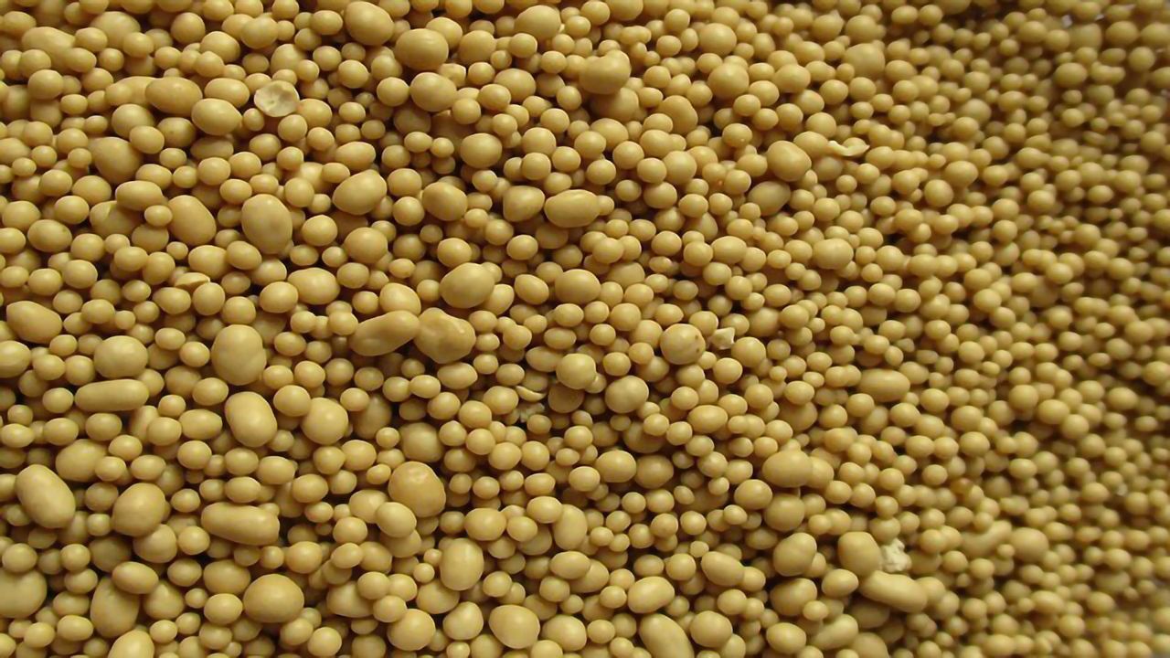 Yeast, A "Rising" Approach to Manufacturing Collagen