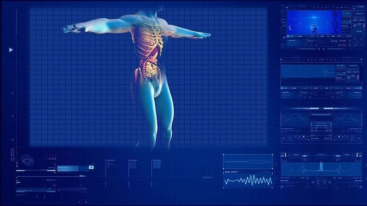 Colon Cell Atlas Reveals Immune-Microbiome Interactions