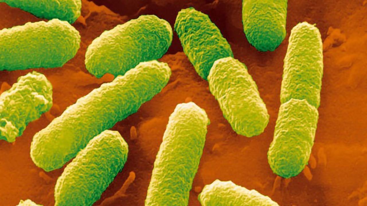 Synthetic System Can Regenerate Its Own DNA and Proteins