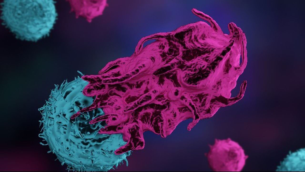 Targeting Turncoat Immune Cells To Tackle Cancer