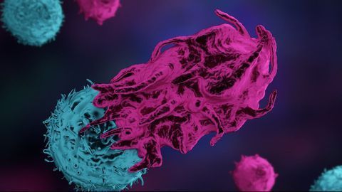 Targeting Turncoat Immune Cells To Tackle Cancer