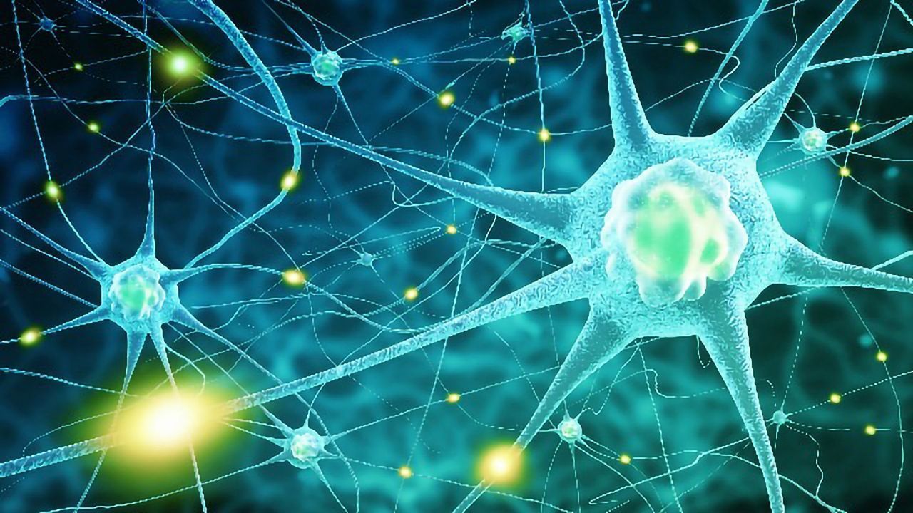 Gene Therapy Protects Against ALS Cell Death