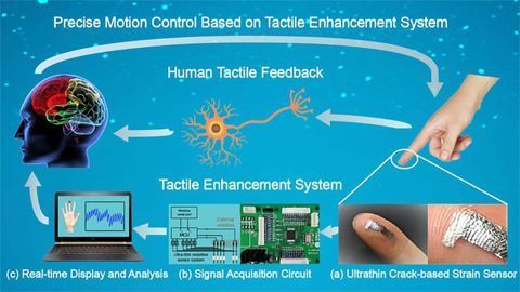 The Science of Spidey Sense? Arachnid-inspired Skin Sensor Enhances Human Touch