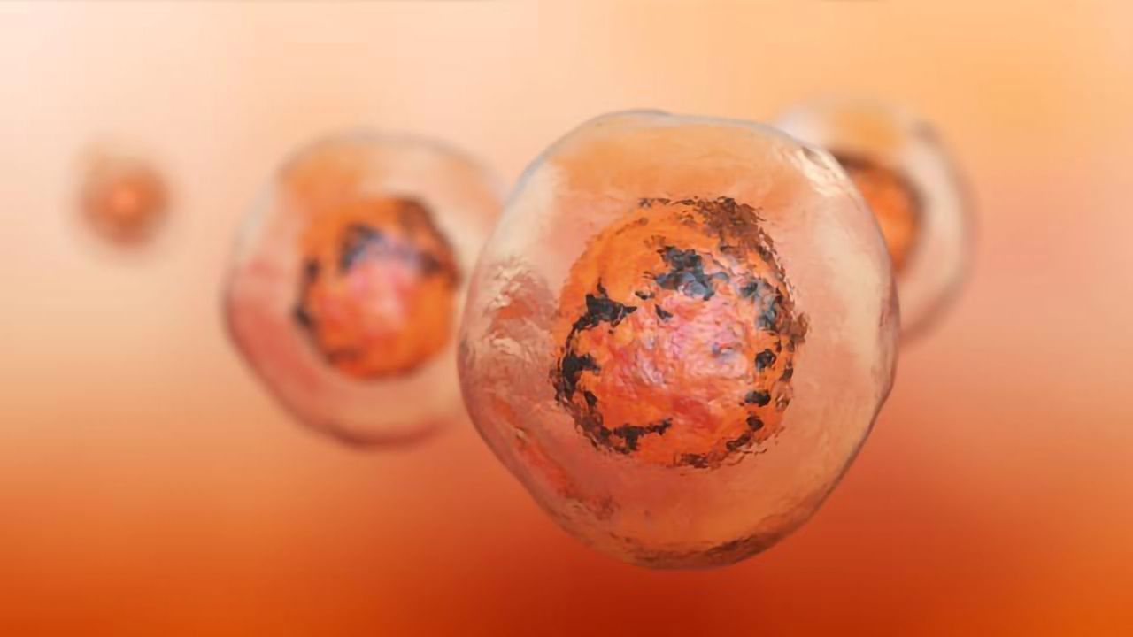 On the Trail of Cancer Stem Cells