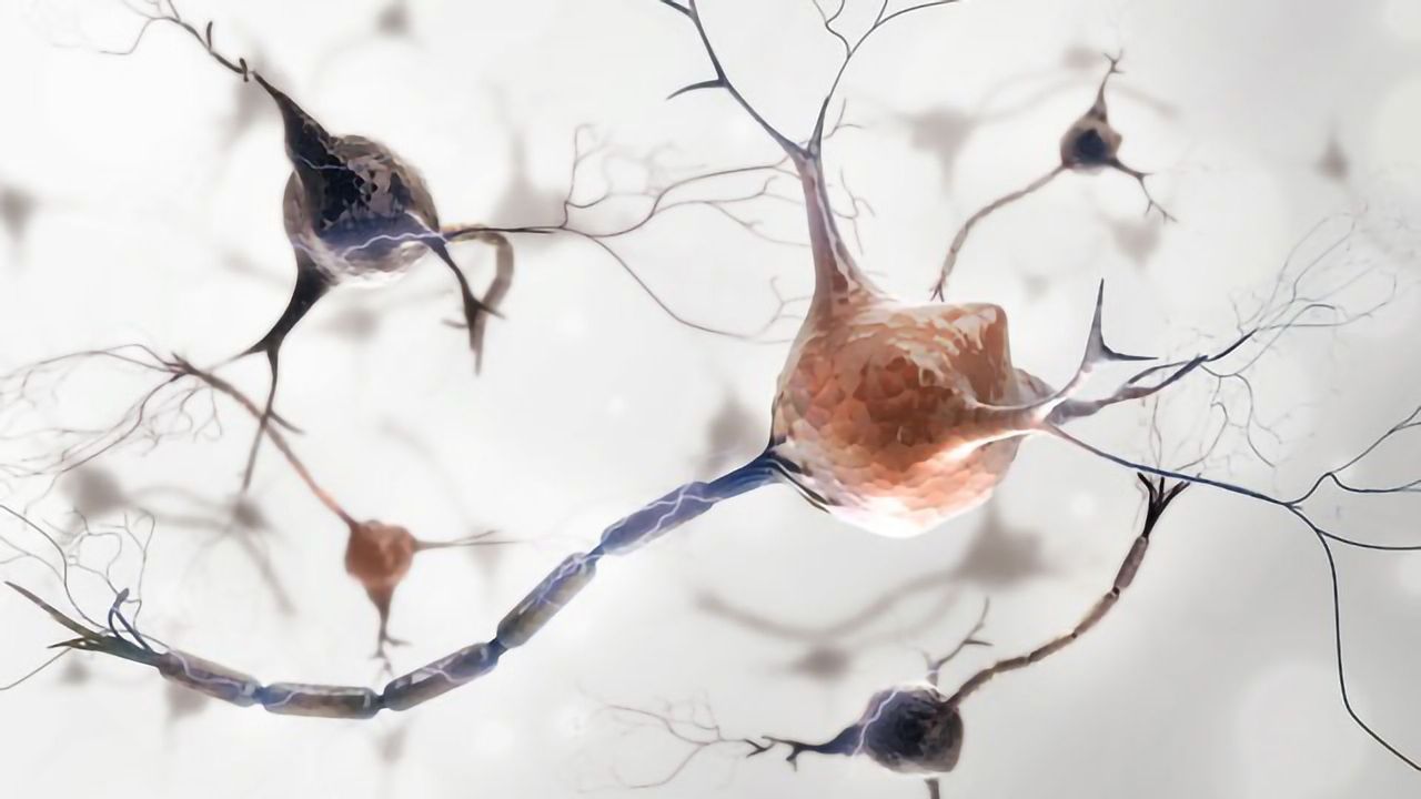 Processes That Cause Parkinson's Point to Potential Treatments