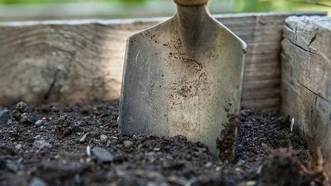 Bacteria That Could Help Combat Soil Pollution
