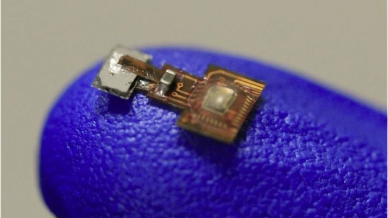 Magnetic Bioelectronics Could Make for Better Neural Implants