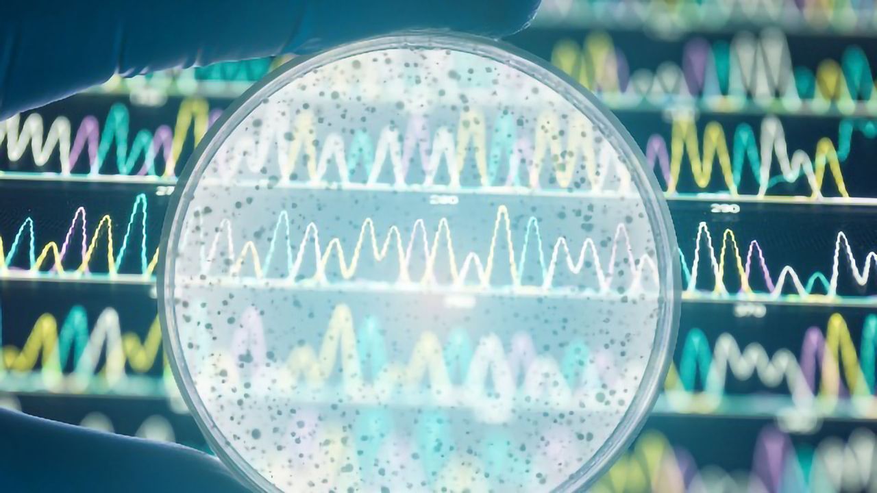 Advances in Microbial Genomics