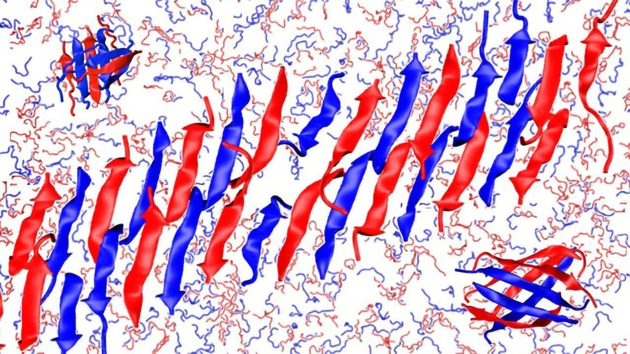 The Mechanics Behind Automatic Peptide Assembly