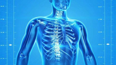 Drug Cocktail Could Help Heal Spinal Injuries