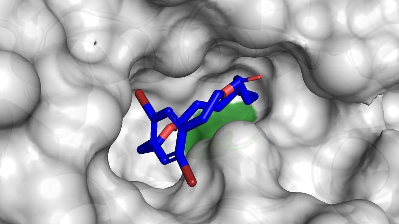 Shaping the Rings of Molecules