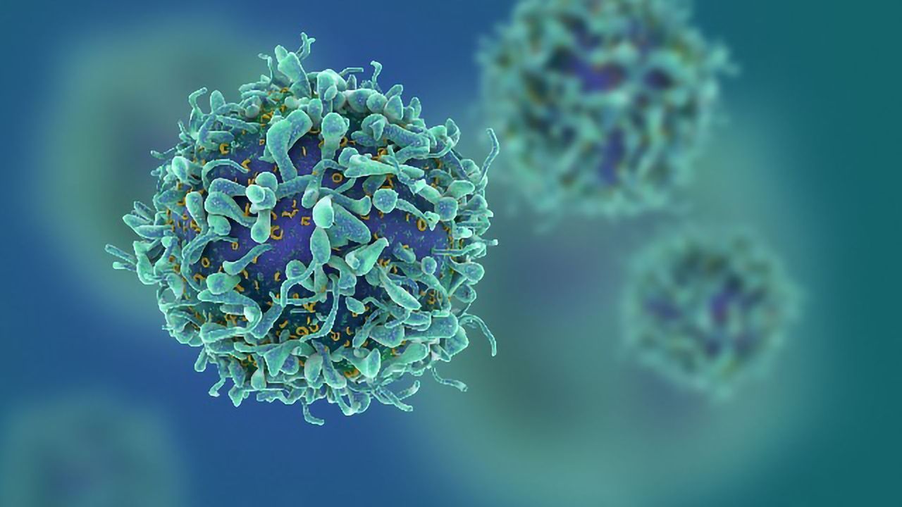 Do Pancreatic Cells Write Their Own Autoimmune Ending?