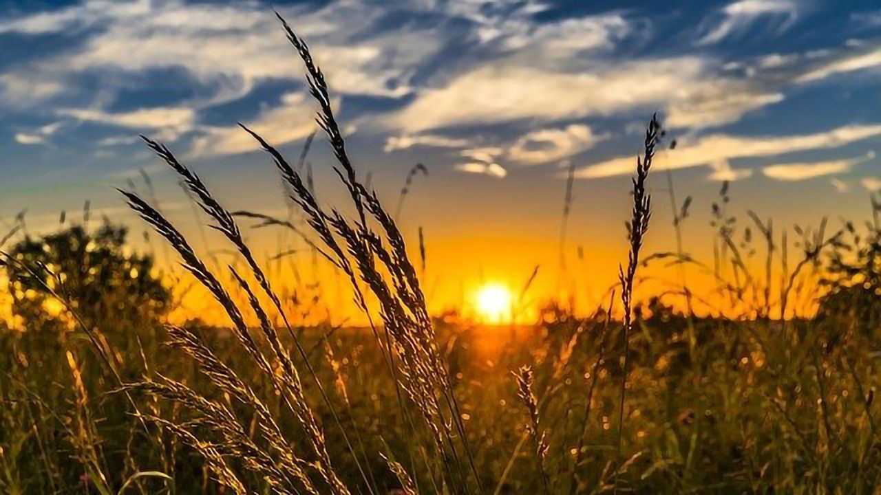 Oldest Reconstructed Bacterial Genomes Link Agricultural Shift With New Diseases