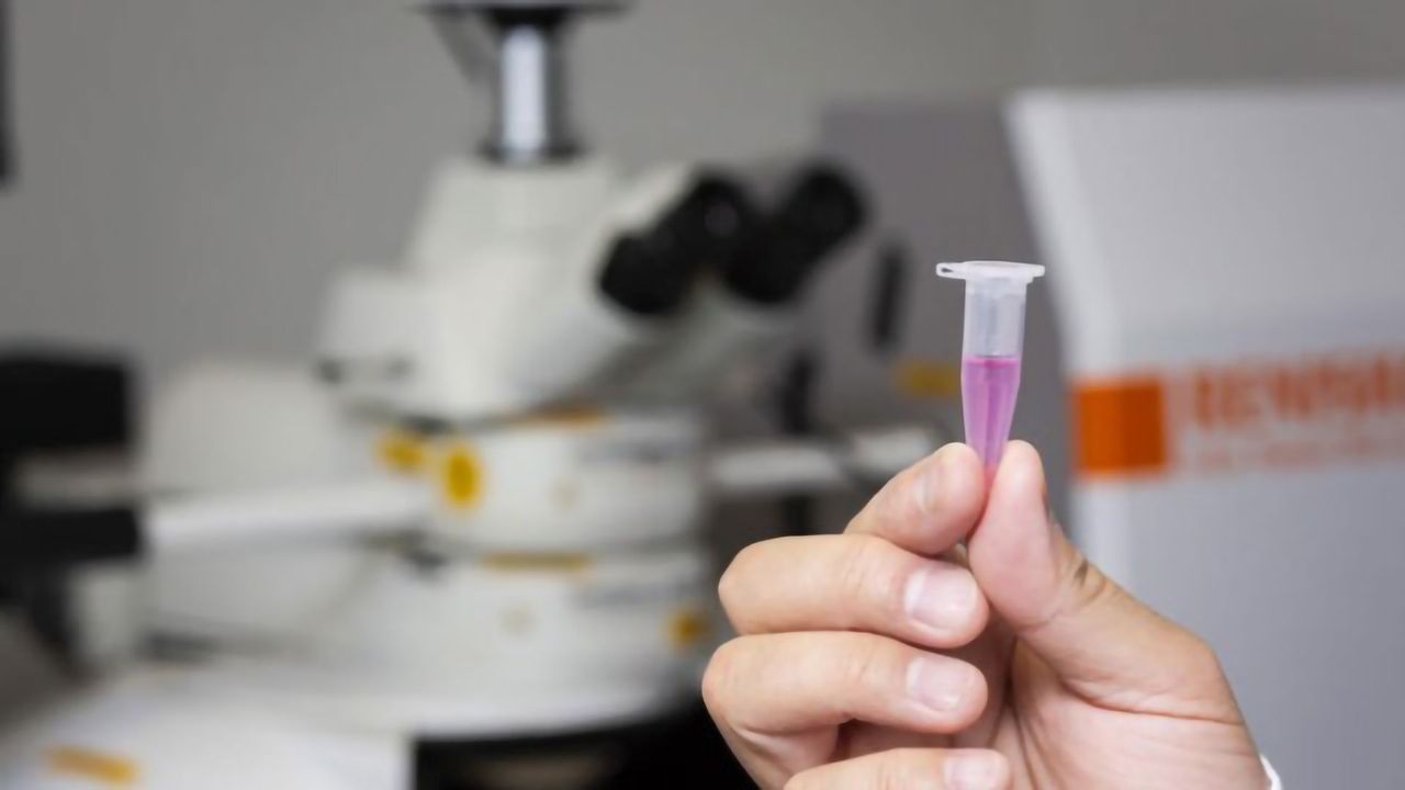 Living Cell Imaging Approach Sheds Light on Obesity