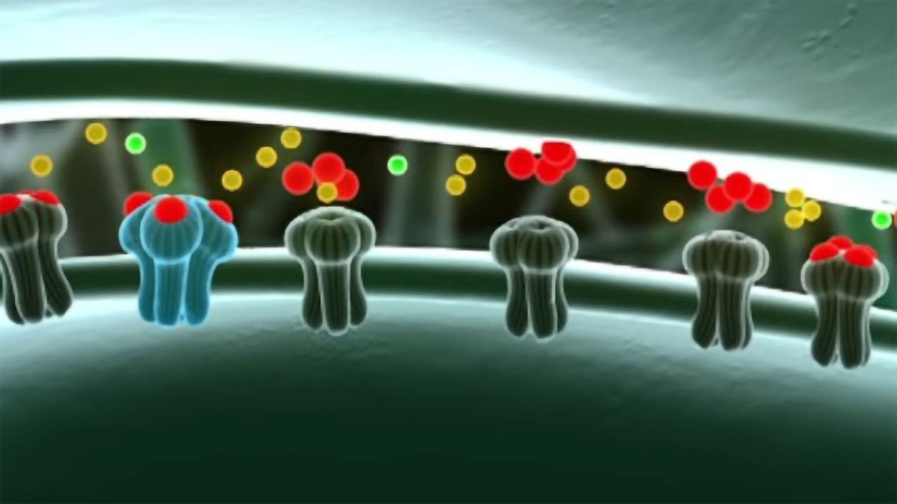 Antibody Equals Antidepressant?