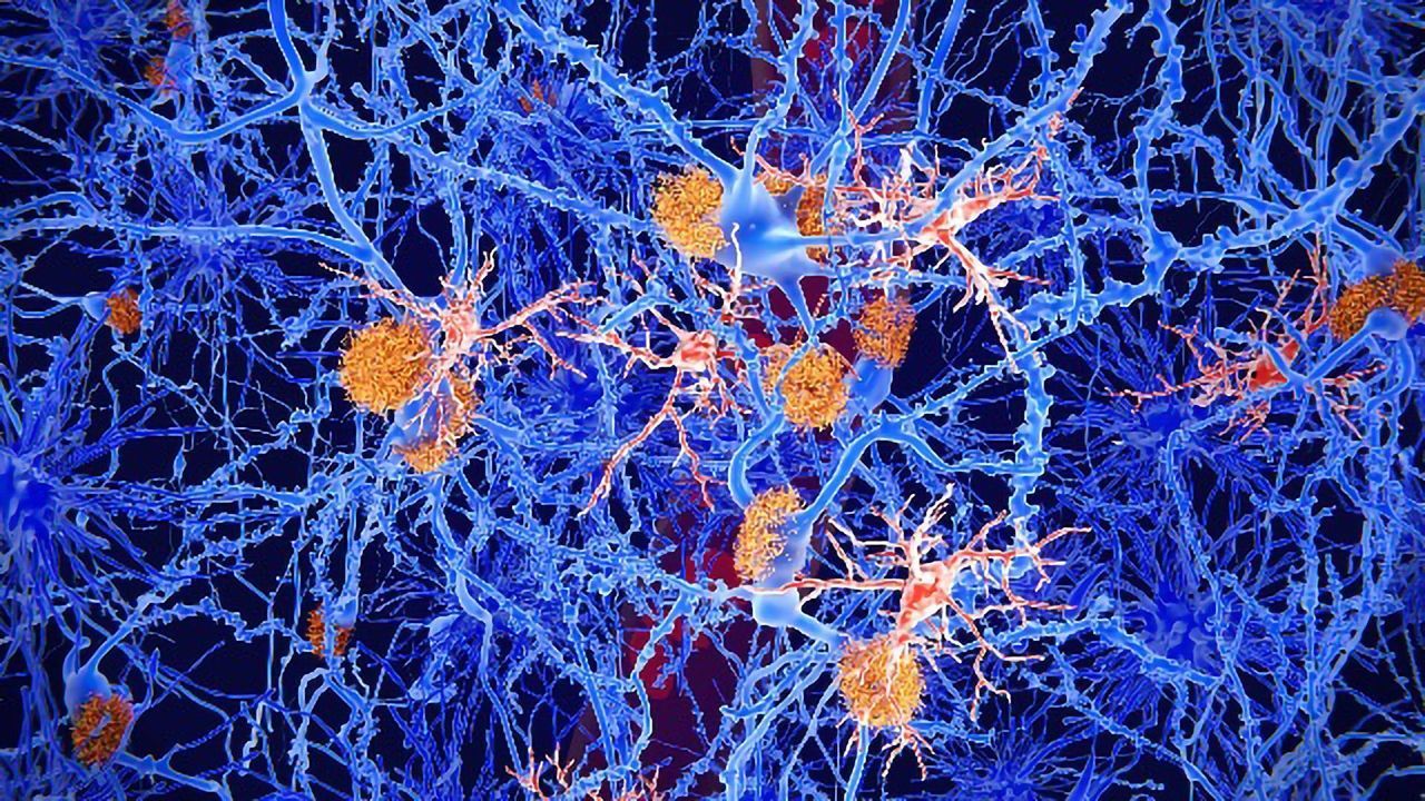 Mouse Study Suggests Hitting the Immune "Reset Button" May Help Brain Injury Recovery