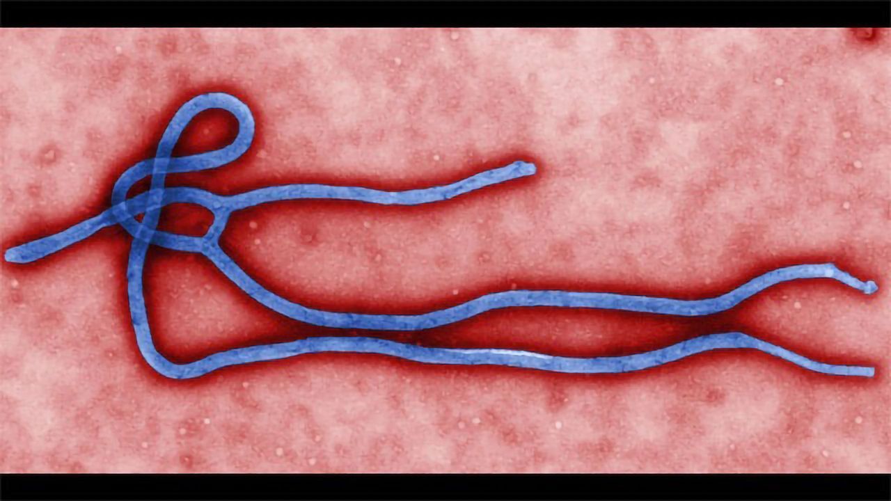 Accelerating Development of Rapid Diagnostic Tests For Ebola