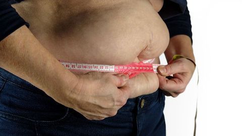 The Effects of Obesity Mirror Those of Aging
