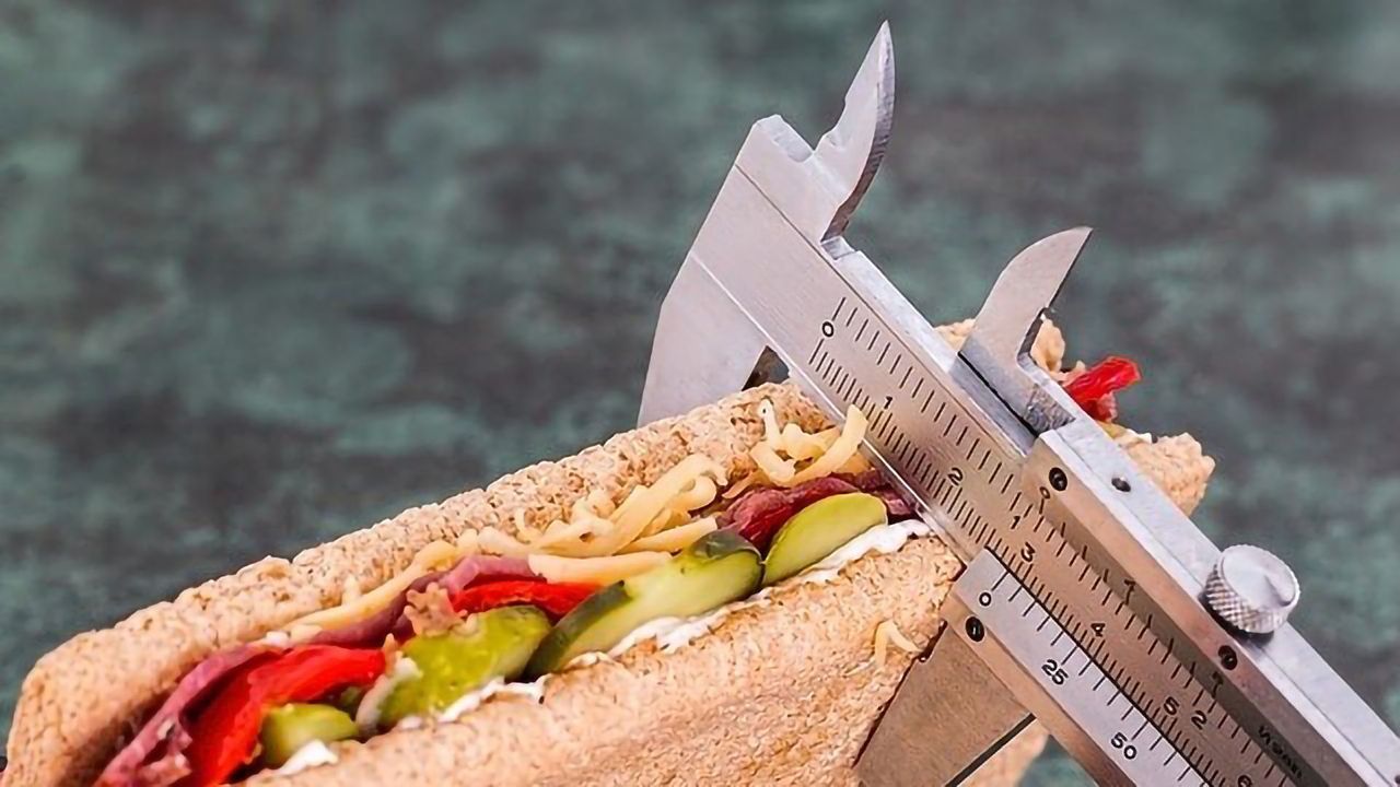 Established Theory of Diet Impact on Lifespan Challenged
