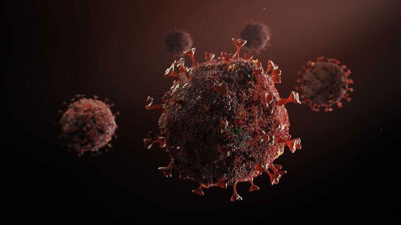 The Coronavirus Pandemic