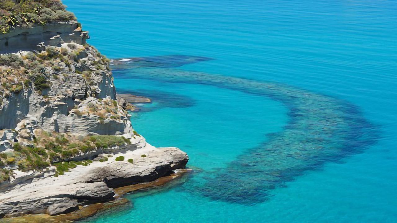 Each Mediterranean Island Has Its Own Genetic Pattern