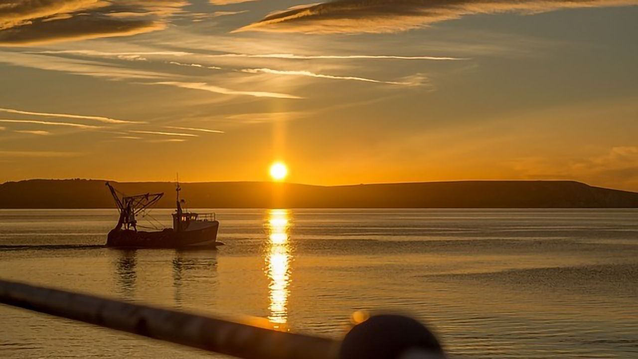 Illegal Fish Trade Risks Local Economies